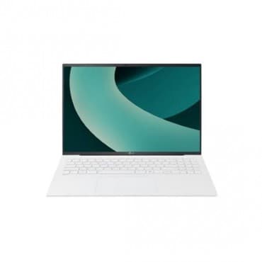 LG 그램 16Z90T-GP56ML + NVME 512GB 교체