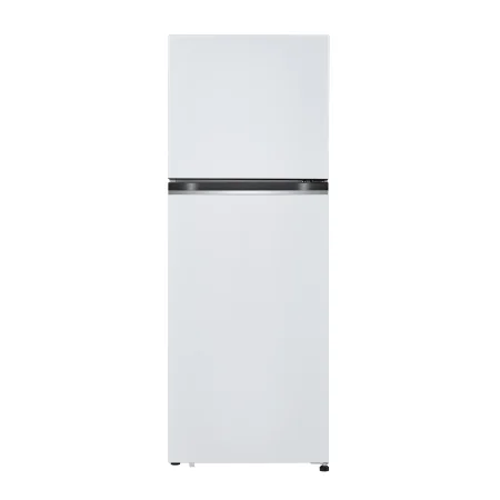 LG 일반냉장고 (B312W31)