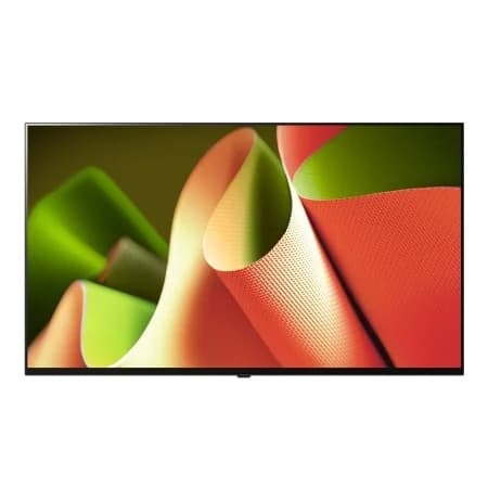 LG 올레드 TV (벽걸이형) (OLED65B4NNA)