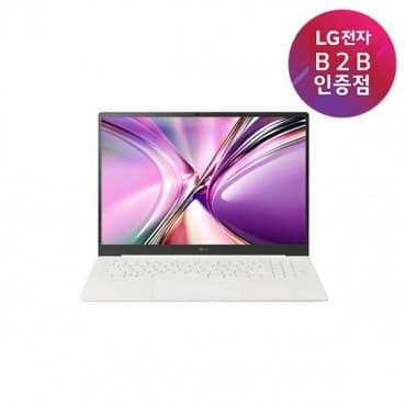 그램 프로 16Z95U-GP50ML + NVMe SSD 1TB 교체