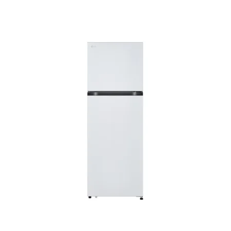 LG 일반냉장고 (B245W22)