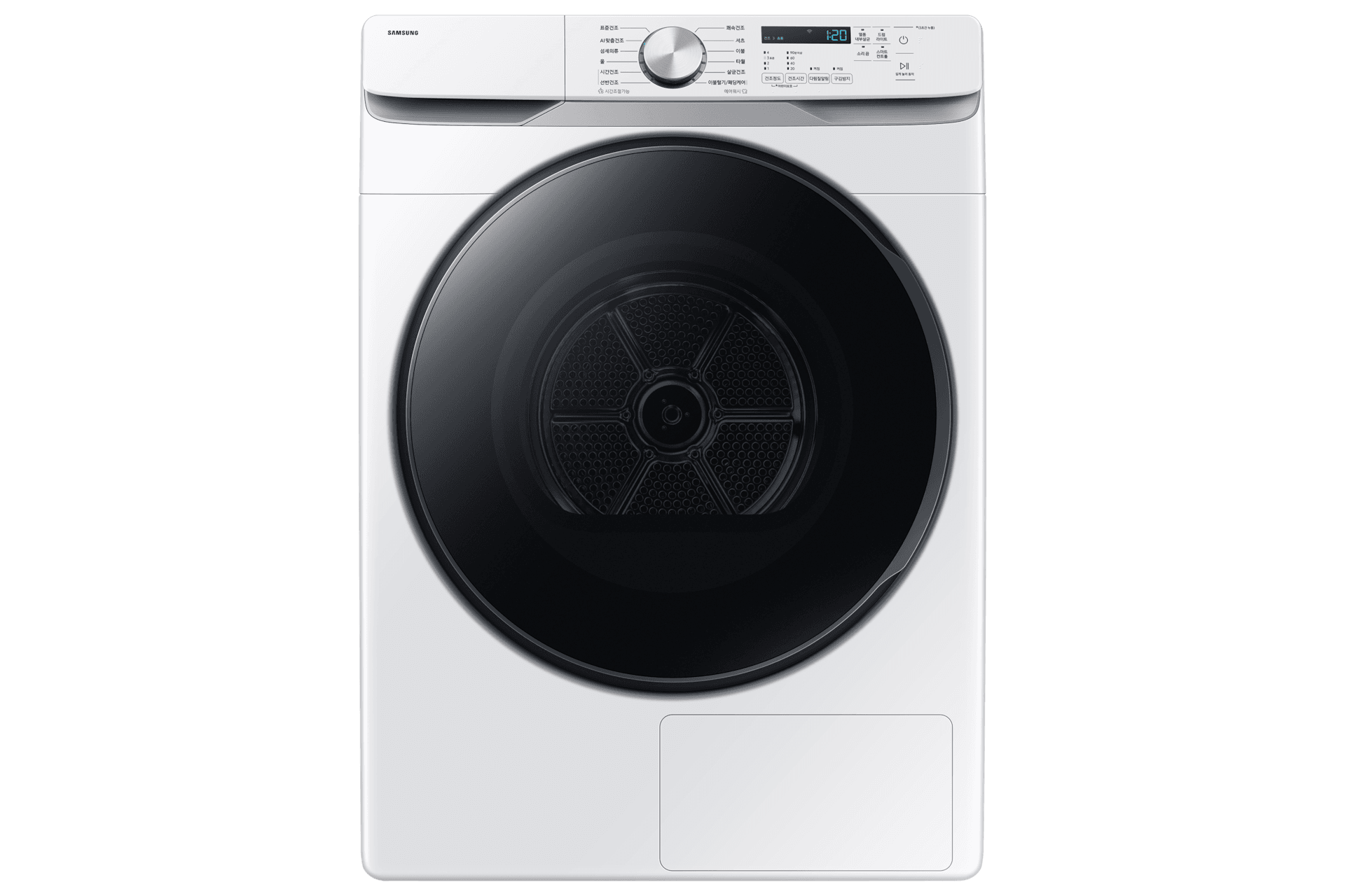 AI 건조기 21kg (DV21DG8200BW)