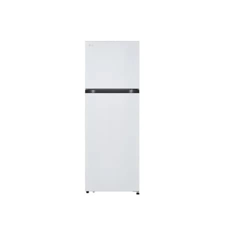 LG 일반냉장고 (B245W22)