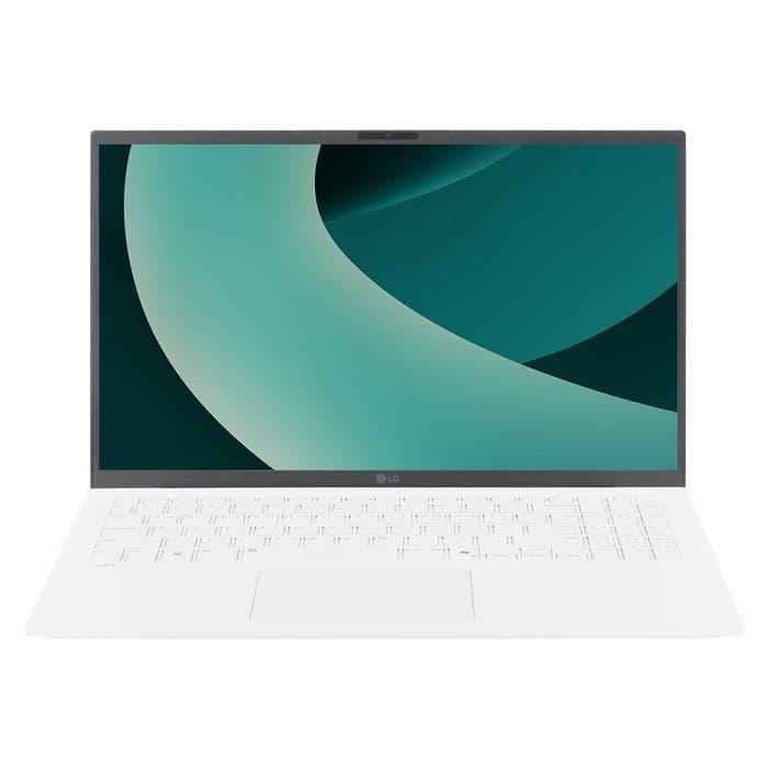 2025 그램15 15ZD90T-GX56K + NVMe SSD 1TB 교체 + Win11P 설치