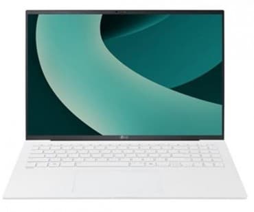 LG 그램 17Z90T-GP7CL (Ultra7 255H/32GB/256GB/Win11 Pro) + NVMe SSD 1TB 교체