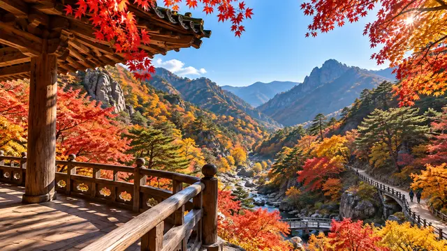🍁2023년 10월 가을여행은 여기로! 단풍 시기, 국내 가을명소 TOP10